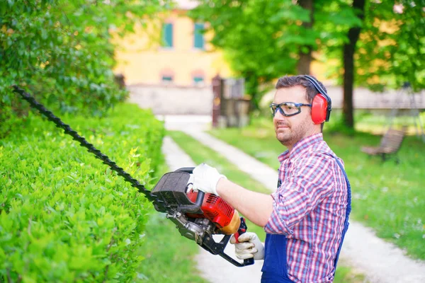One Man Working Garden Shaping Bush Using Hedge Trimmer — Fotografia de Stock