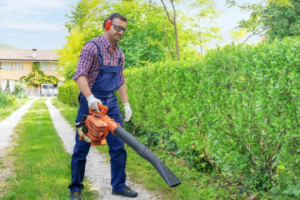 One Man Working Garden Blowing Leaves Leaf Blower — ストック写真