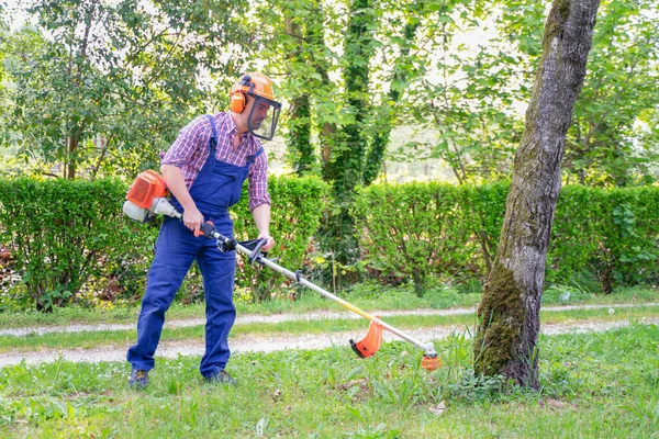 One Gardener Mowing Grass Using Brush Cutter Garden — Fotografia de Stock