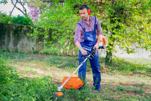 One Gardener Mowing Grass Using Brushcutter Garden – stockfoto