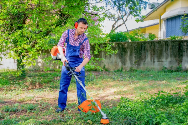 One Gardener Mowing Grass Using Brushcutter Garden — Fotografia de Stock