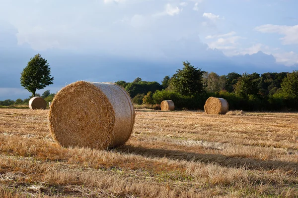 Beau paysage de champs d'or en Allemagne — Photo