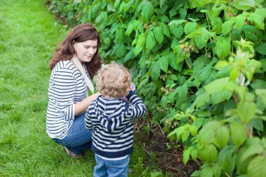 genç anne ve ahududu organik çiftlik toplama onun toddler