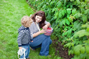 genç anne ve ahududu organik çiftlik toplama onun toddler