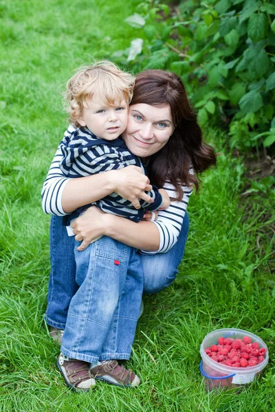 Joven madre y su hijo recogiendo frambuesas en granja orgánica —  Fotos de Stock