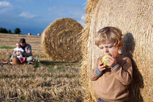 Śliczny maluch jabłko jedzenie na złotym polu — Zdjęcie stockowe