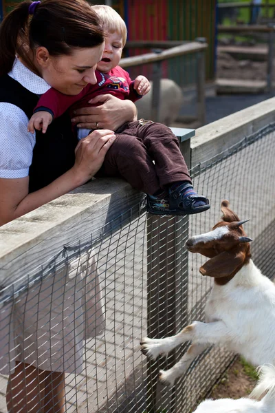 Mor och barn pojke på zoo — Stockfoto