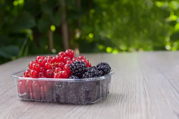 Bowl with fresh red currant and blackberries — Stock Photo, Image
