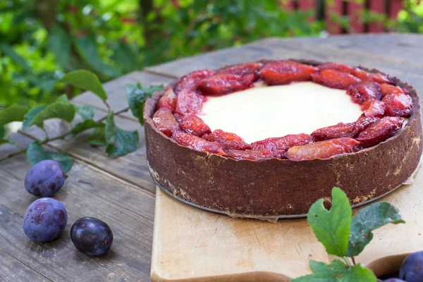 Fresh baked plum cheesecake with fresh plums — Stock Photo, Image