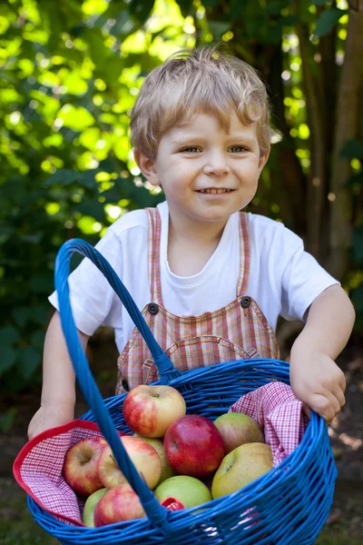 Очаровательный малыш с корзиной с яблоками — стоковое фото