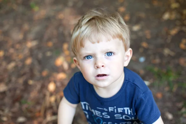 Liten pojke i höst skog — Stockfoto