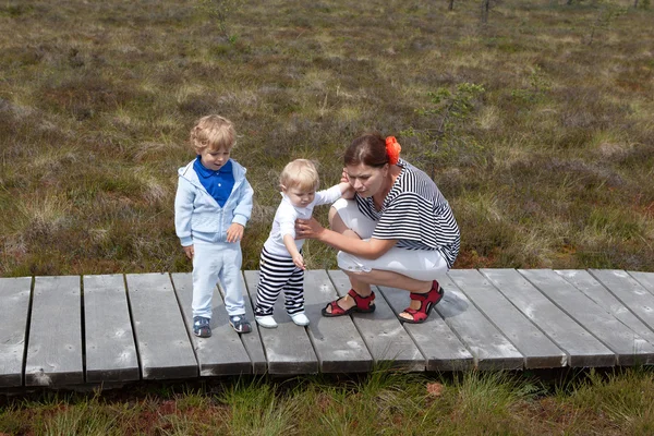 Joven madre y sus dos hijos caminando por el parque natural — Foto de Stock