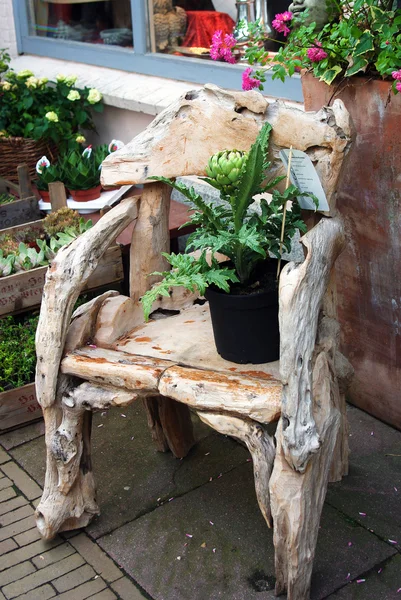 Složení staré dřevěné židle a rostliny — Stock fotografie