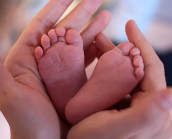 Nyfödd baby fötter kupade i mödrar händer med fokus på ett fo — Stockfoto