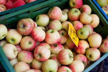 baby in een autostoeltje
