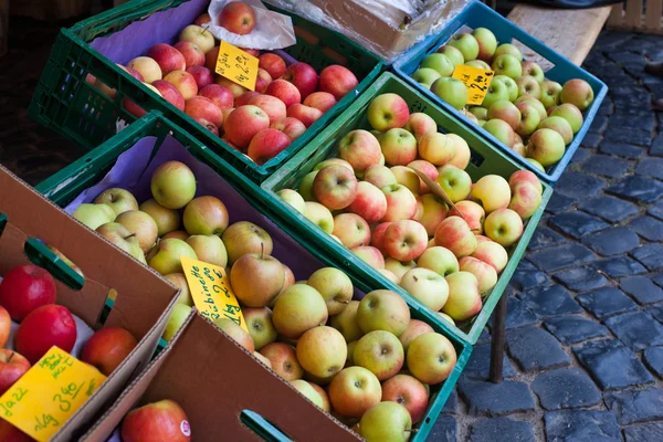Μήλα φρέσκα υγιή βιο στην γεωργική αγορά Γερμανικός αγρότης — Φωτογραφία Αρχείου