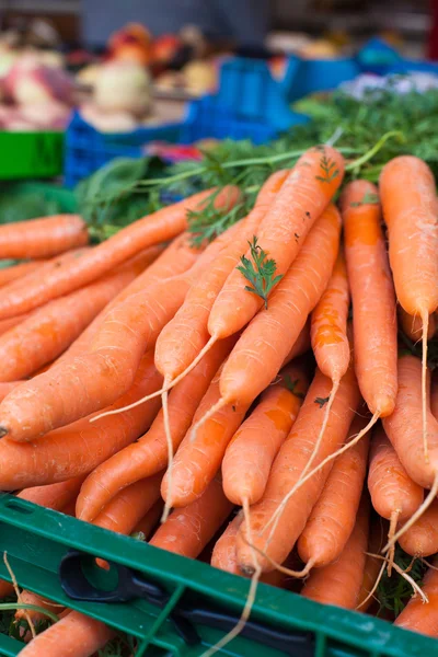 Čerstvé zdravé bio mrkev na zemědělský trh německý farmář — Stock fotografie