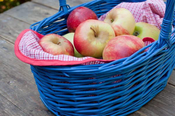 Cesta con manzanas rojas y amarillas frescas en el jardín de otoño —  Fotos de Stock