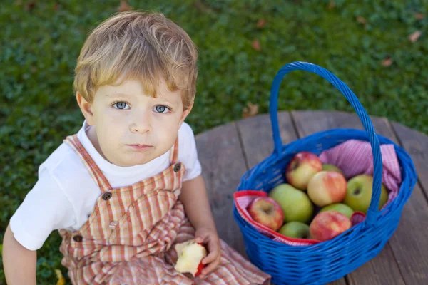 Adorable toddler eating fresh apple — Stock Photo, Image