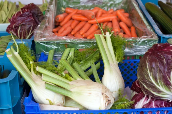 Fresh healthy bio vegetables on German farmer agricultural marke — Stock Photo, Image