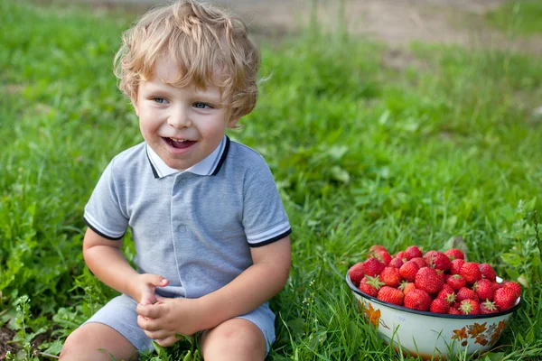 Suloinen lapsi kulholla mansikoita luonnonmukaisella tilalla — kuvapankkivalokuva