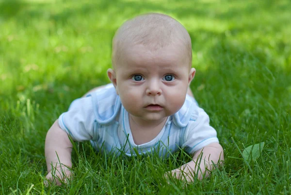 Adorable baby boy on green grass in summer — Stock Photo, Image