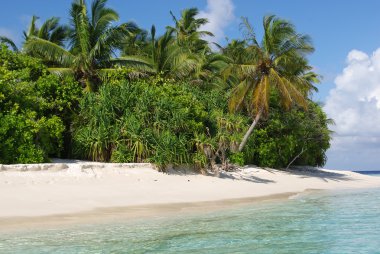 Hint Okyanusu'nda tropikal Maldiv Adası