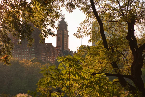 Geen trees in Central Park in New York City, Fall — Stock Photo, Image