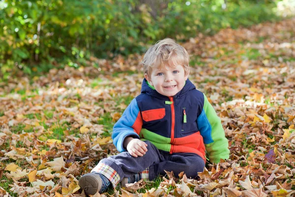 Little toddler boy in autumn park — Stock Photo, Image