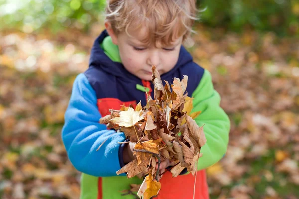 Mały chłopiec malucha w parku jesień — Zdjęcie stockowe
