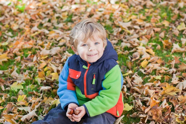 Pequeño niño en el parque de otoño — Foto de Stock