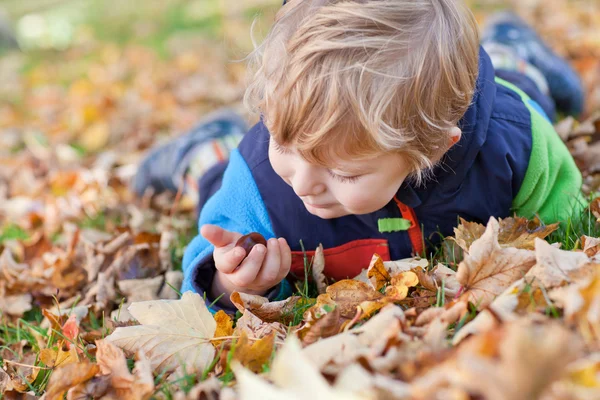 Little toddler boy in autumn park — Stock Photo, Image