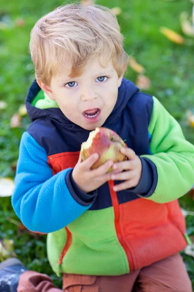 Маленький мальчик ест яблоко — стоковое фото