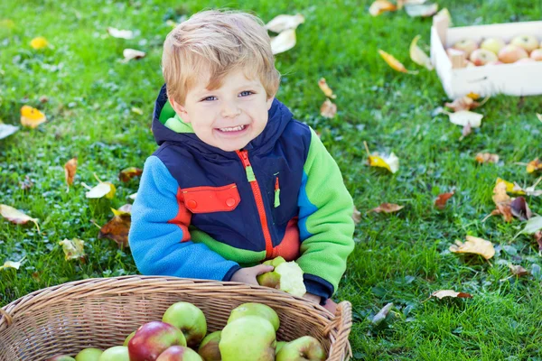 Little toddler boy eating apple — Stock Photo, Image