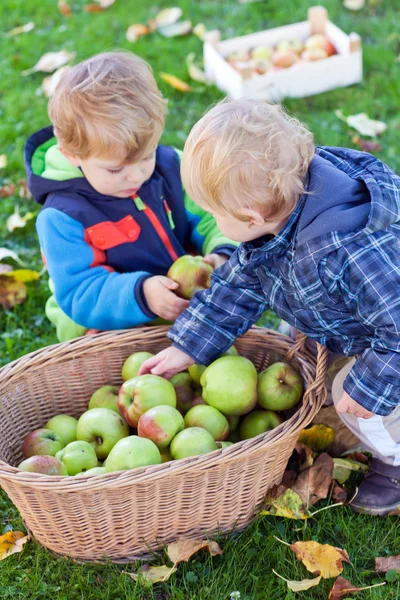 Little toddler boy eating apple — Stock Photo, Image