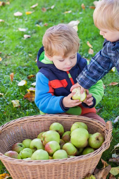 Lilla barn pojke äta äpple — Stockfoto