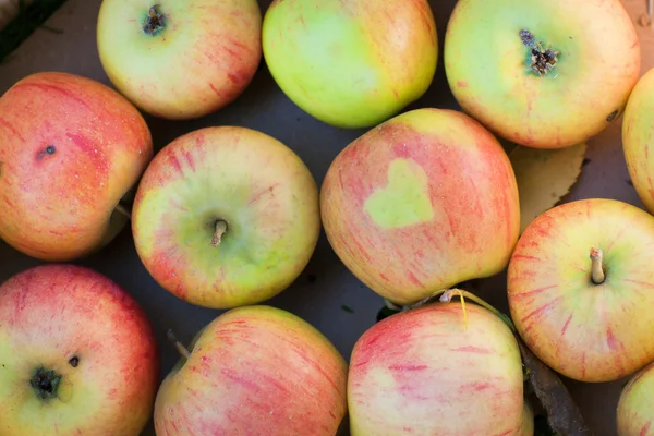 Behållare med färska äpplen — Stockfoto