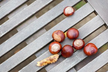 Tahta masada kestaneler