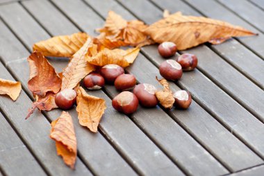 ahşap masa yapraklarda ile kestane