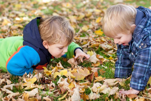 To små smågutter i høstparken. – stockfoto