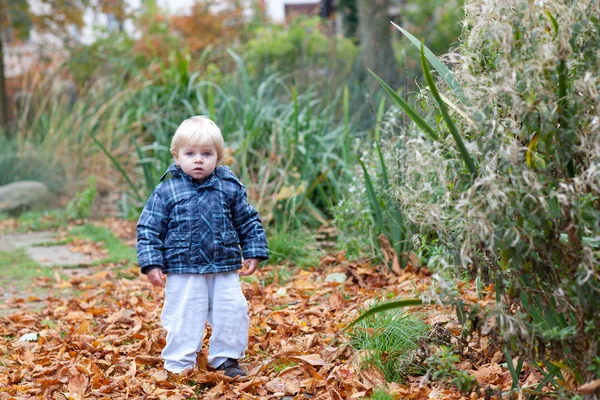 Mały chłopiec malucha w parku jesień — Zdjęcie stockowe