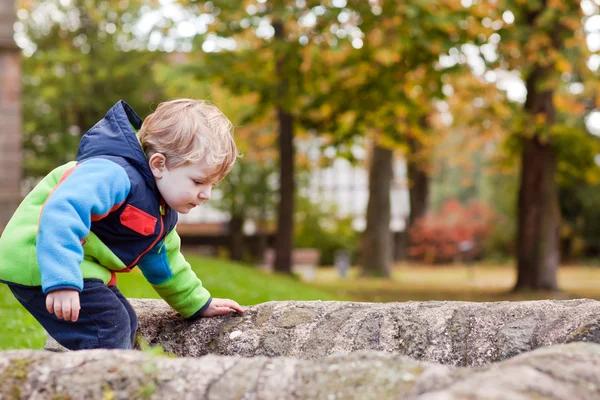 Lilla barn pojke i höst park — Stockfoto