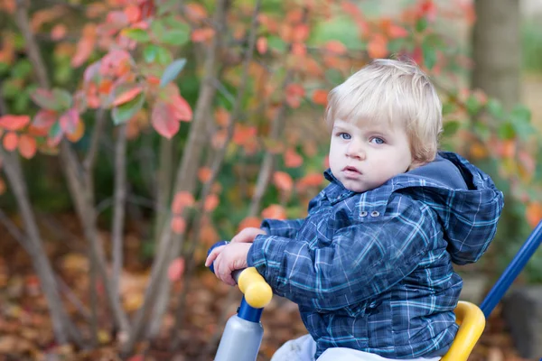 Lilla barn pojke i höst skog — Stockfoto