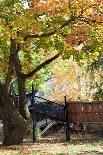 Arbres jaunes d'automne dans un beau parc — Photo