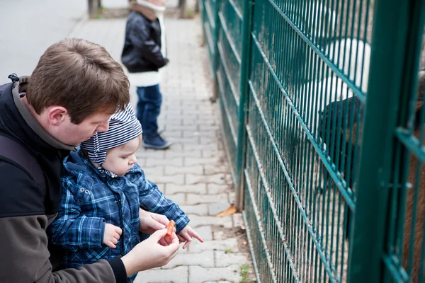 Dwa małe chłopców i ojciec karmienia zwierząt w zoo — Zdjęcie stockowe