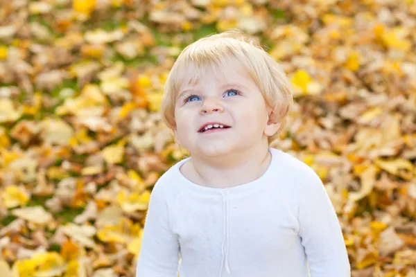 Little toddler boy in autumn park — Stock Photo, Image