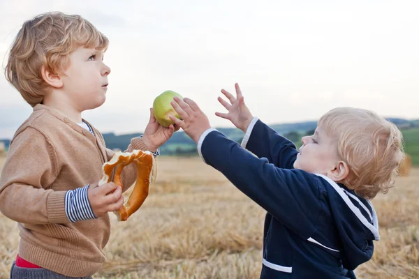 Twee kleine peuter jongens spelen op stro veld — Stockfoto