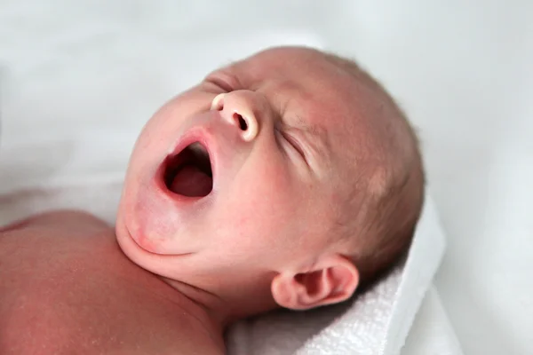 Newborn baby boy only few hours old — Stock Photo, Image