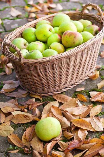 Crop of green apples in basket — Stock Photo, Image