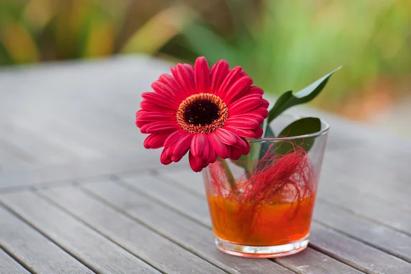 Red gerbera in a vase — Stock Photo, Image